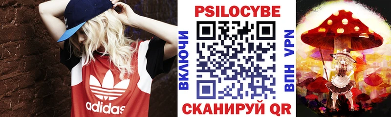 Купить  Балабаново  Галлюциногенные грибы Magic Shrooms 