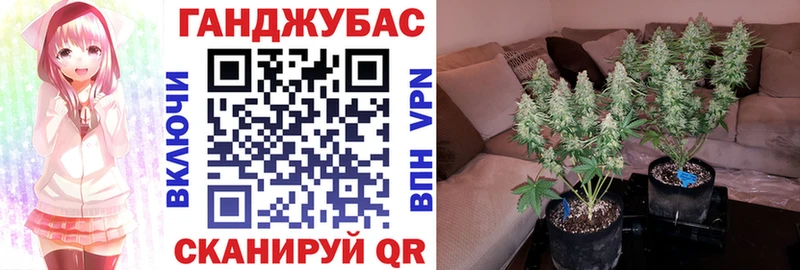 Купить где  Балабаново  Шишки марихуана SATIVA & INDICA 